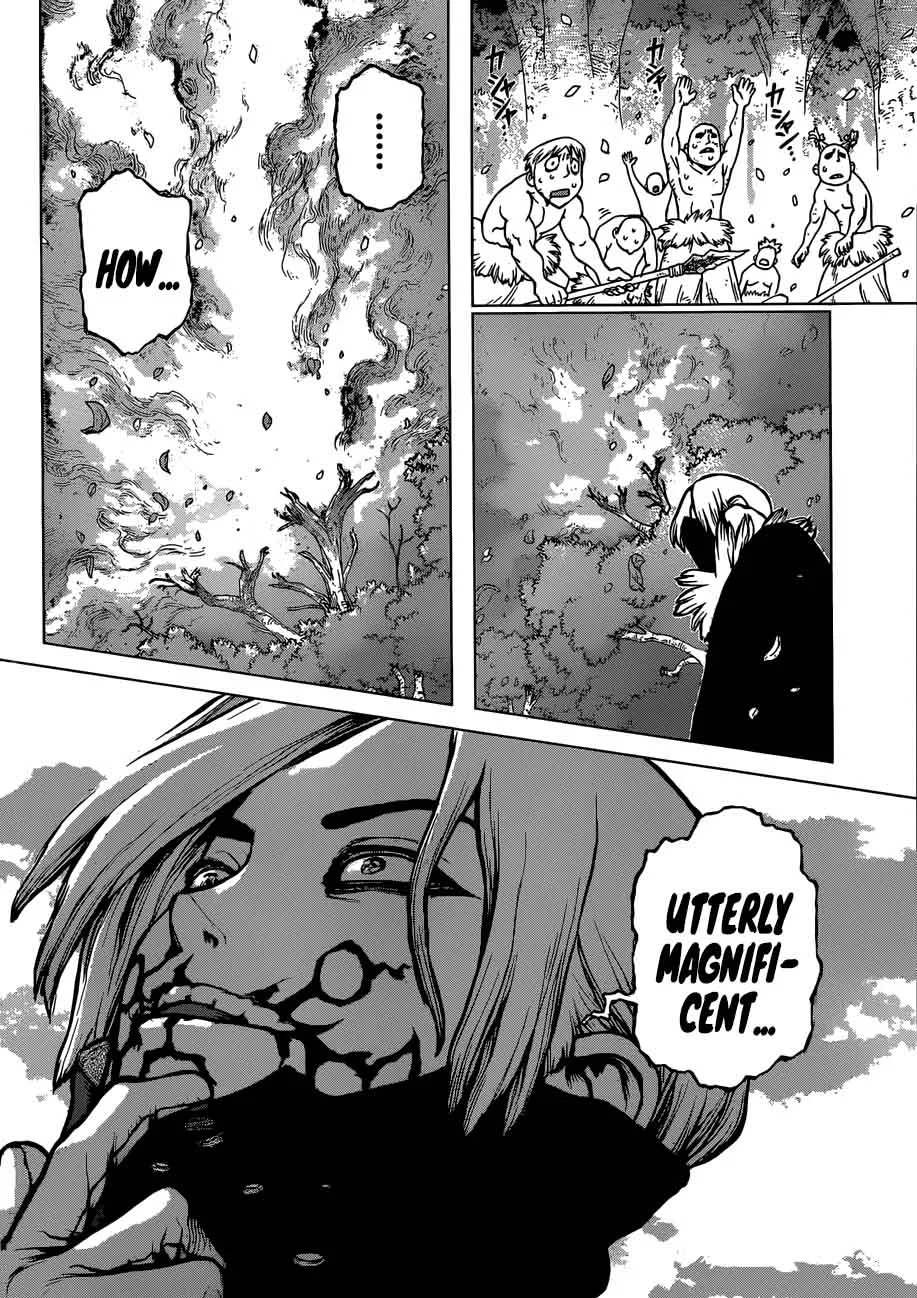 Dr. Stone Chapter 78 page 5