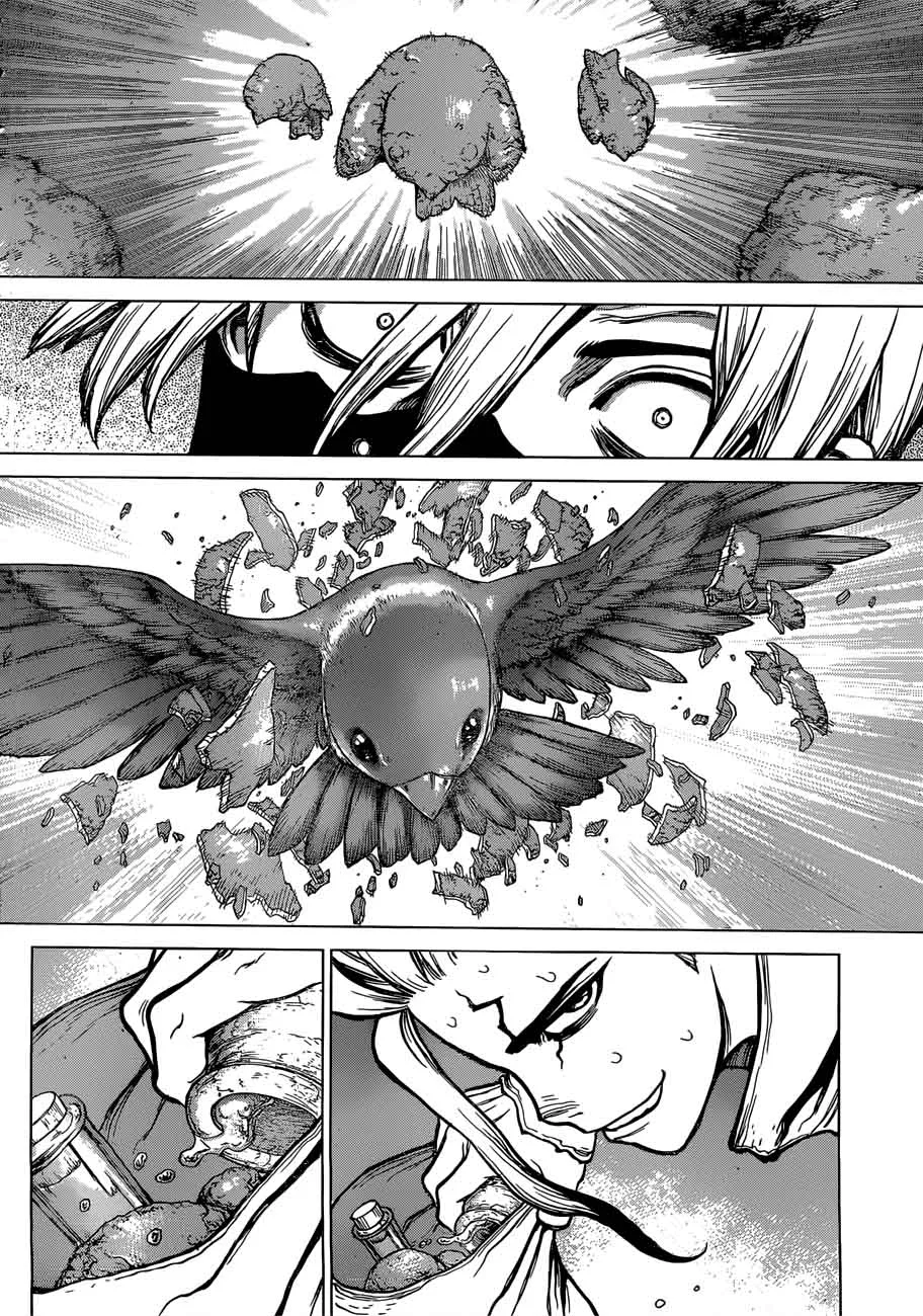 Dr. Stone Chapter 80 page 14