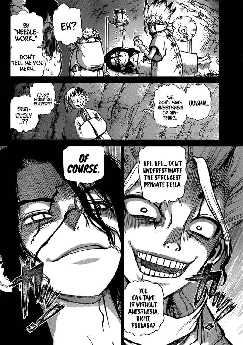 Dr. Stone Chapter 83 page 5
