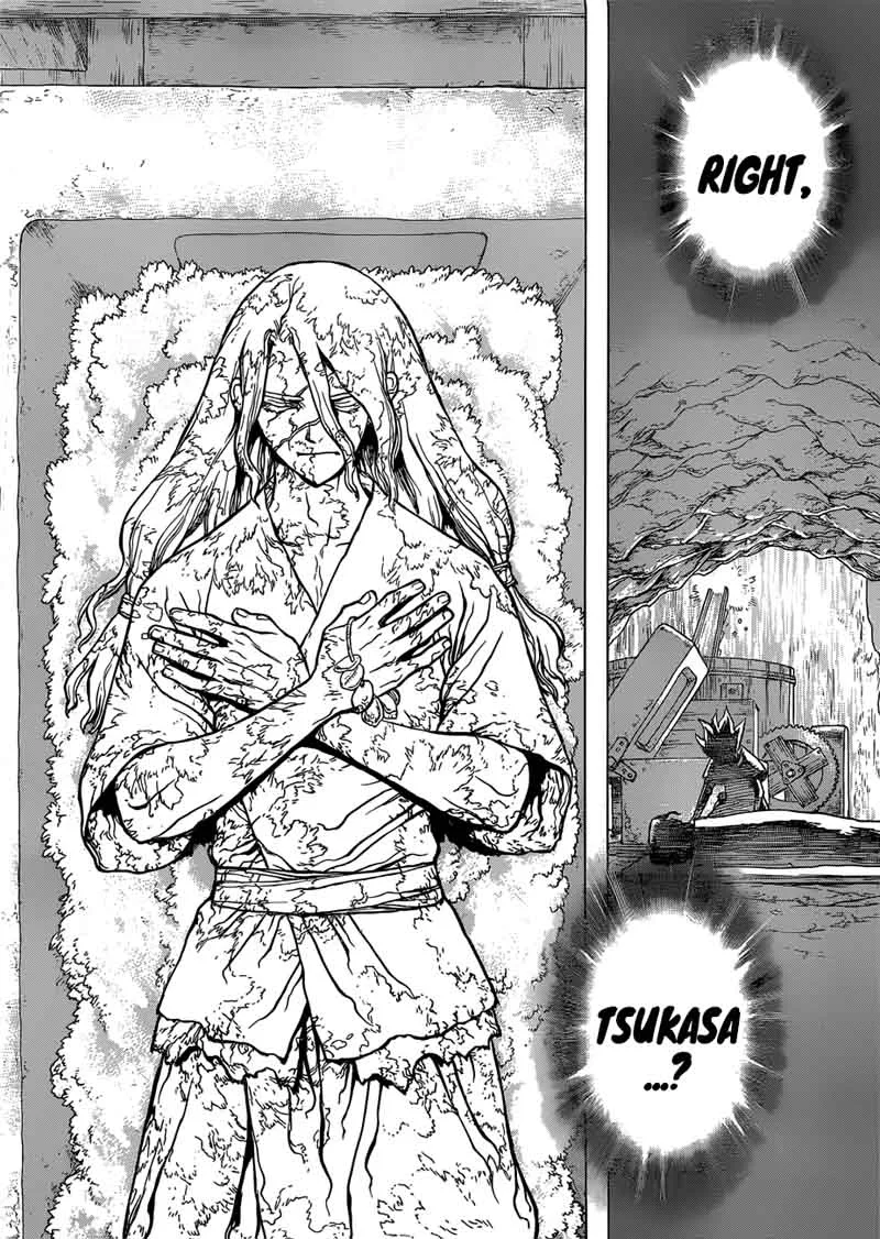 Dr. Stone Chapter 83 page 19
