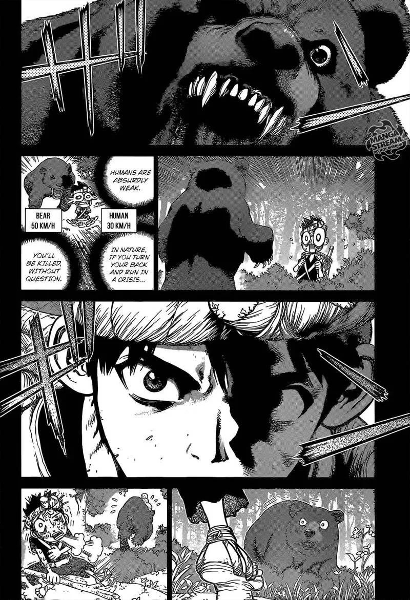 Dr. Stone Chapter 89 page 12