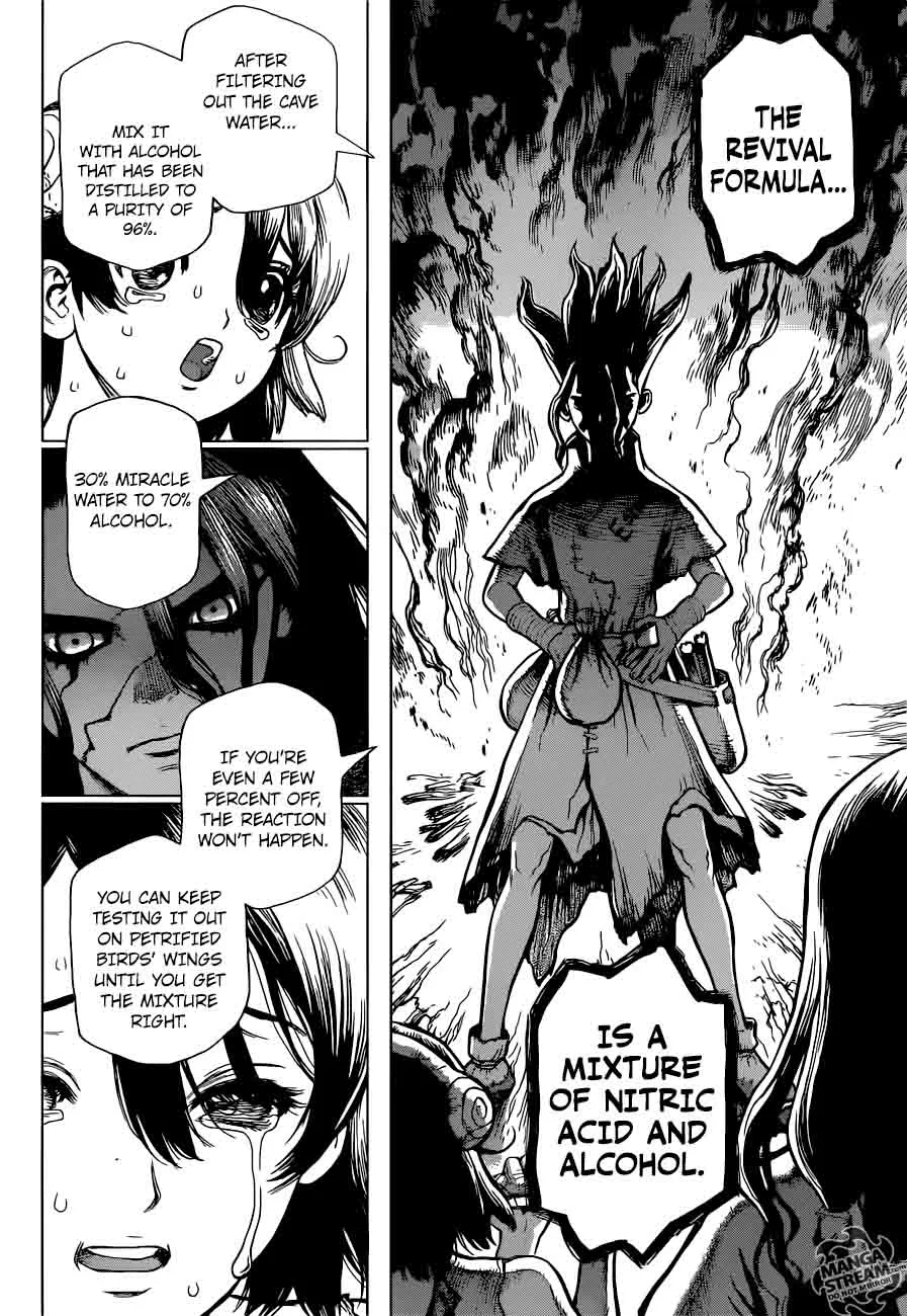 Dr. Stone Chapter 9 page 13