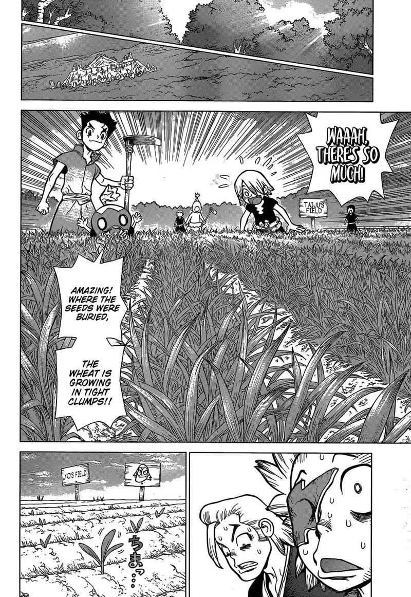 Dr. Stone Chapter 91 page 11