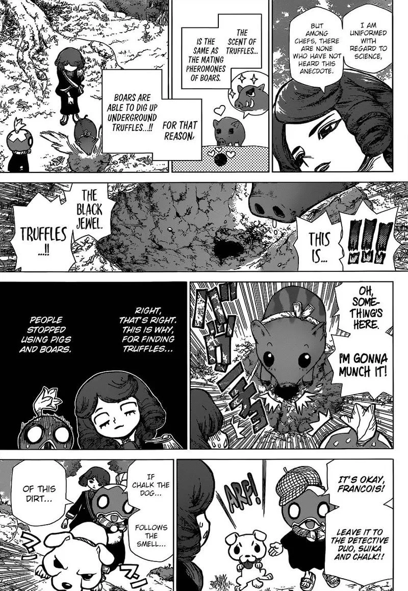 Dr. Stone Chapter 94 page 13