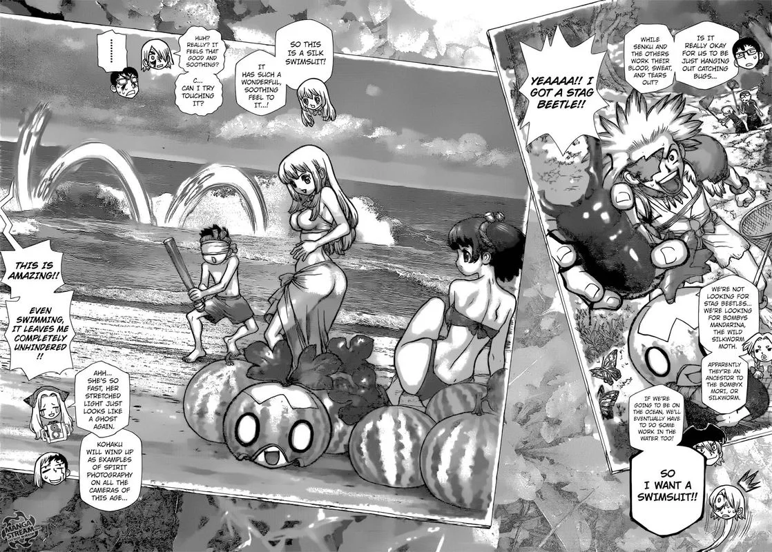 Dr. Stone Chapter 99 page 10