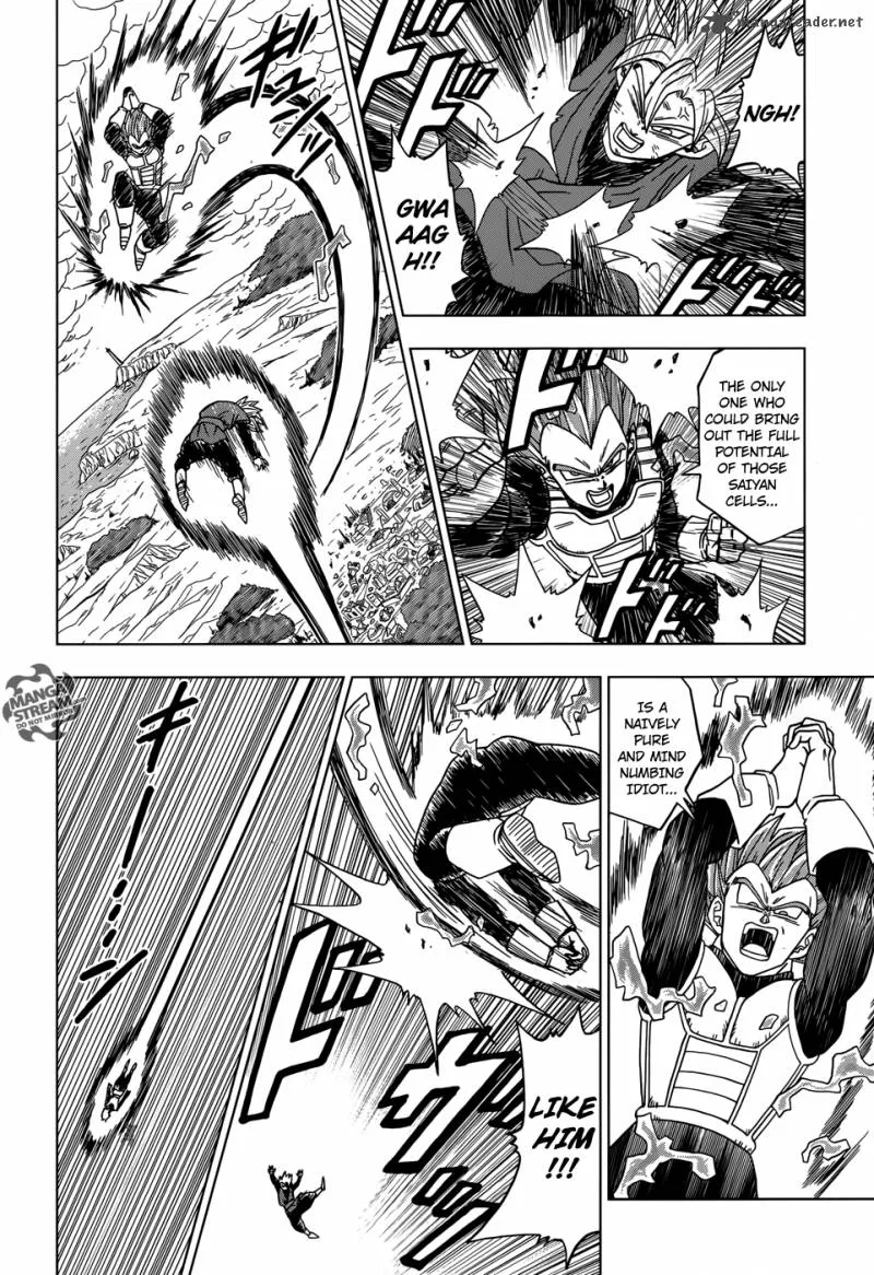 Dragon Ball Super Chapter 19 page 17