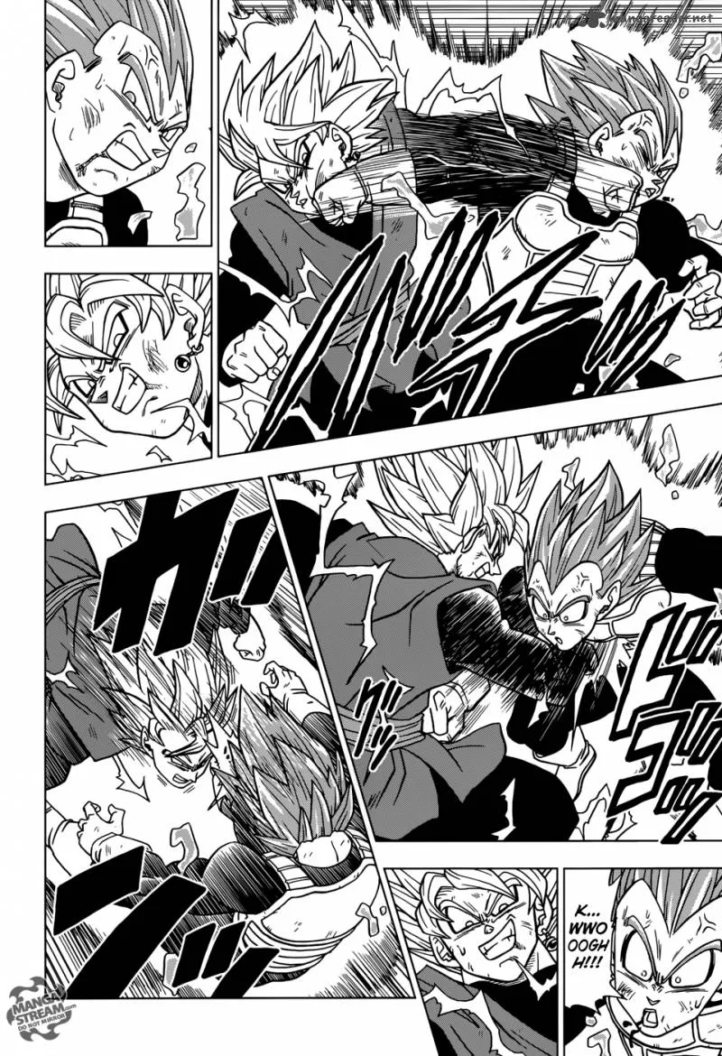 Dragon Ball Super Chapter 20 page 15