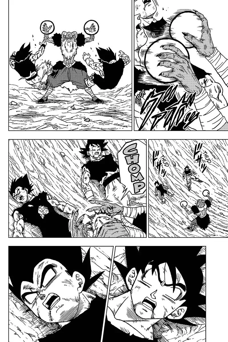 Dragon Ball Super Chapter 46 page 14