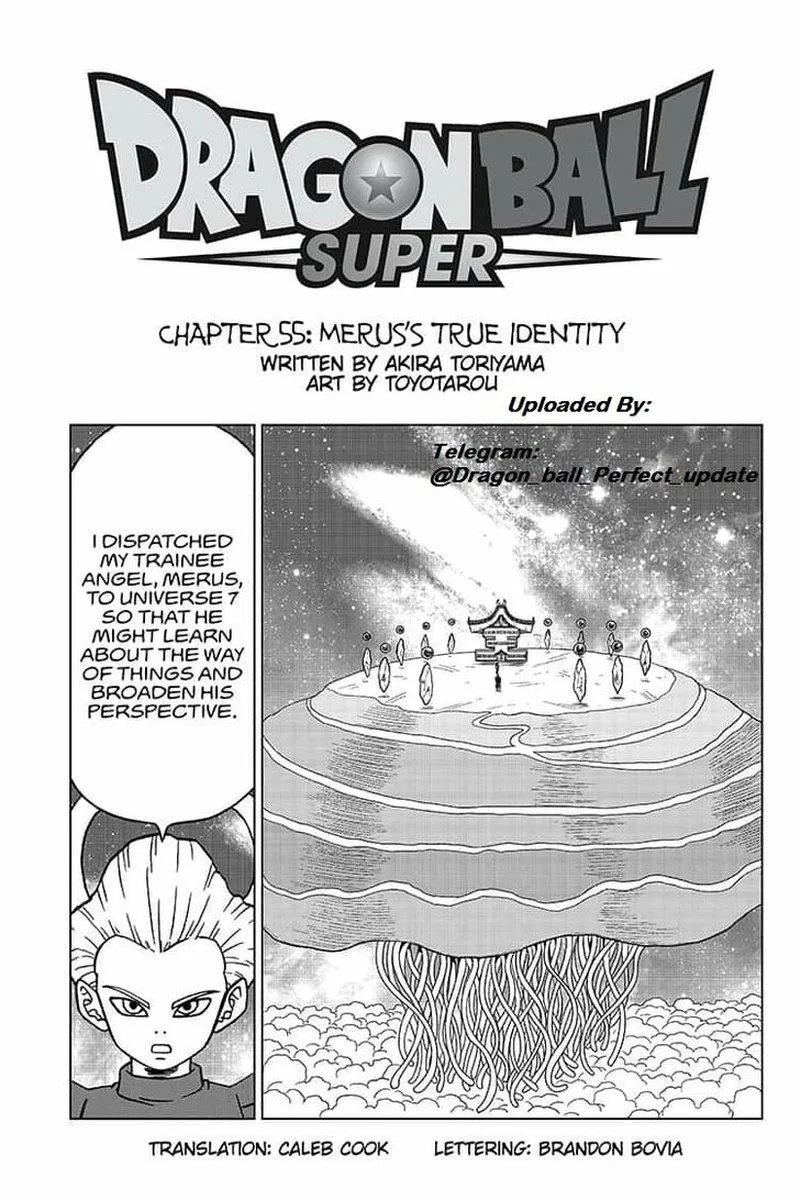 Dragon Ball Super Chapter 55 page 1