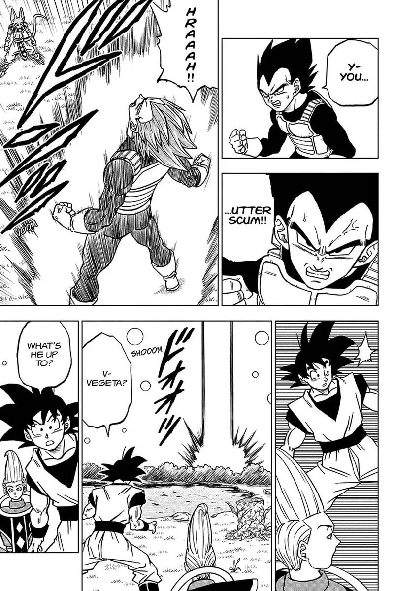Dragon Ball Super Chapter 69 page 17
