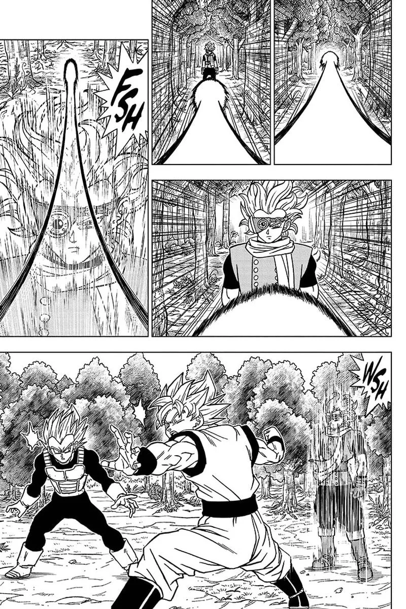 Dragon Ball Super Chapter 72 page 17