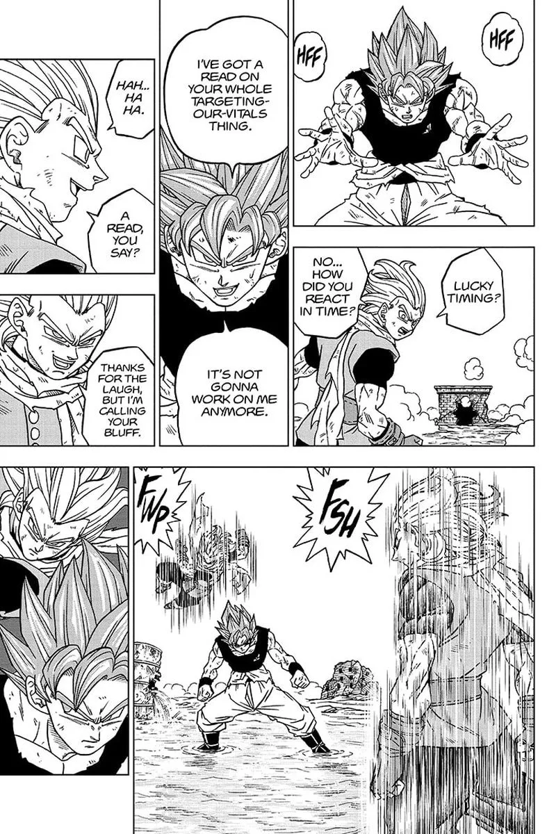 Dragon Ball Super Chapter 76 page 13