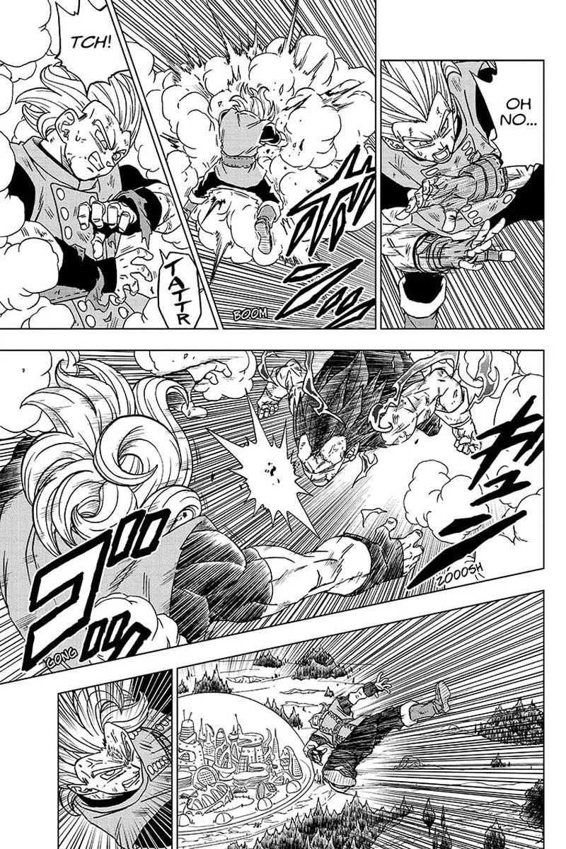 Dragon Ball Super Chapter 76 page 25