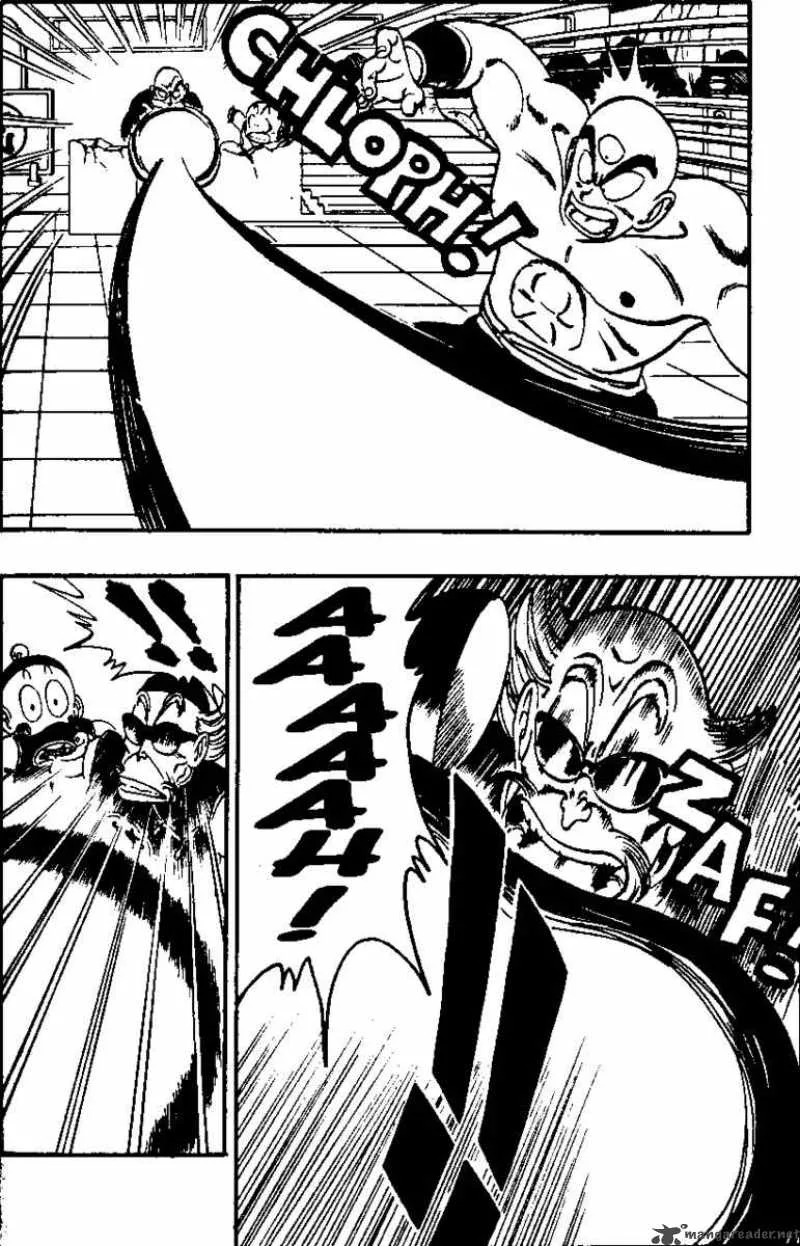 Dragon Ball Chapter 131 page 13