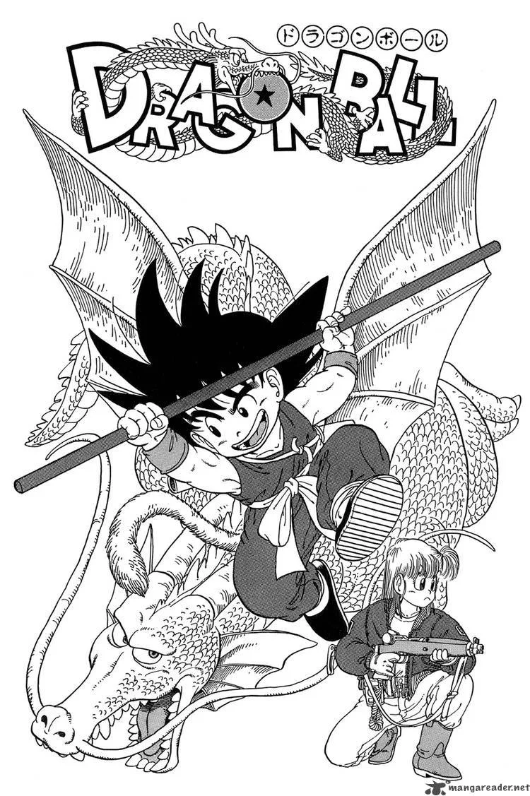Dragon Ball Chapter 14 page 24