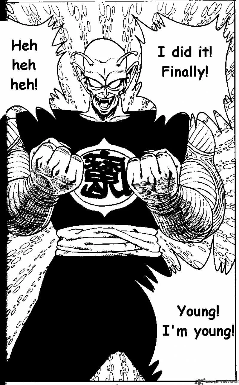 Dragon Ball Chapter 147 page 13