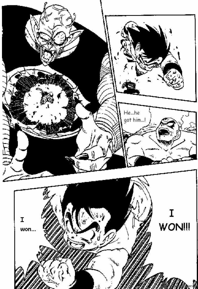 Dragon Ball Chapter 161 page 5