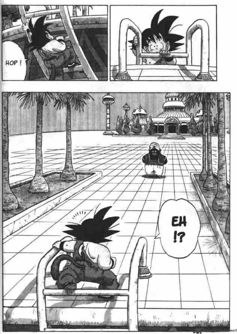 Dragon Ball Chapter 163 page 5