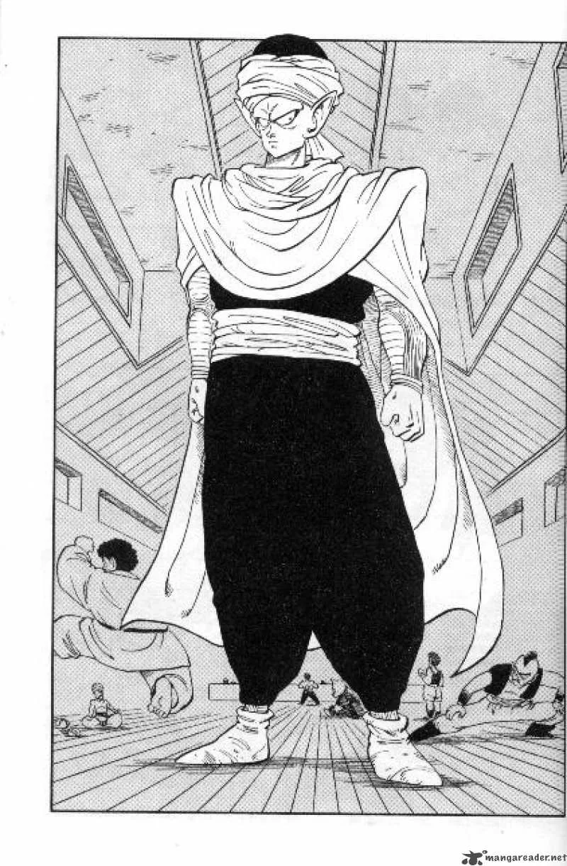 Dragon Ball Chapter 166 page 13