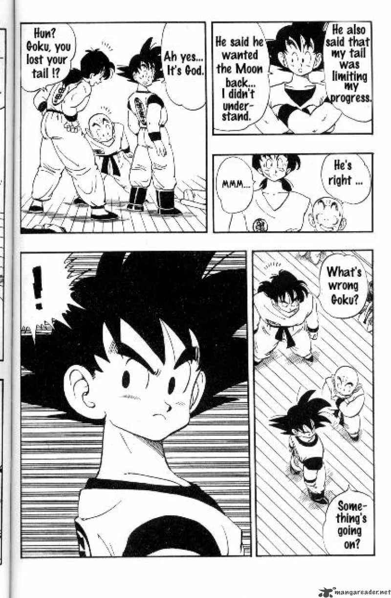 Dragon Ball Chapter 166 page 12