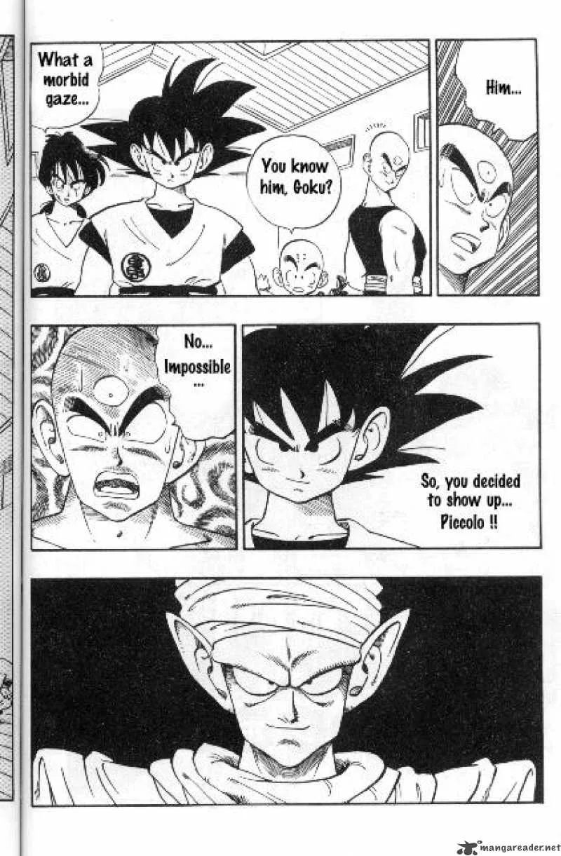 Dragon Ball Chapter 166 page 14