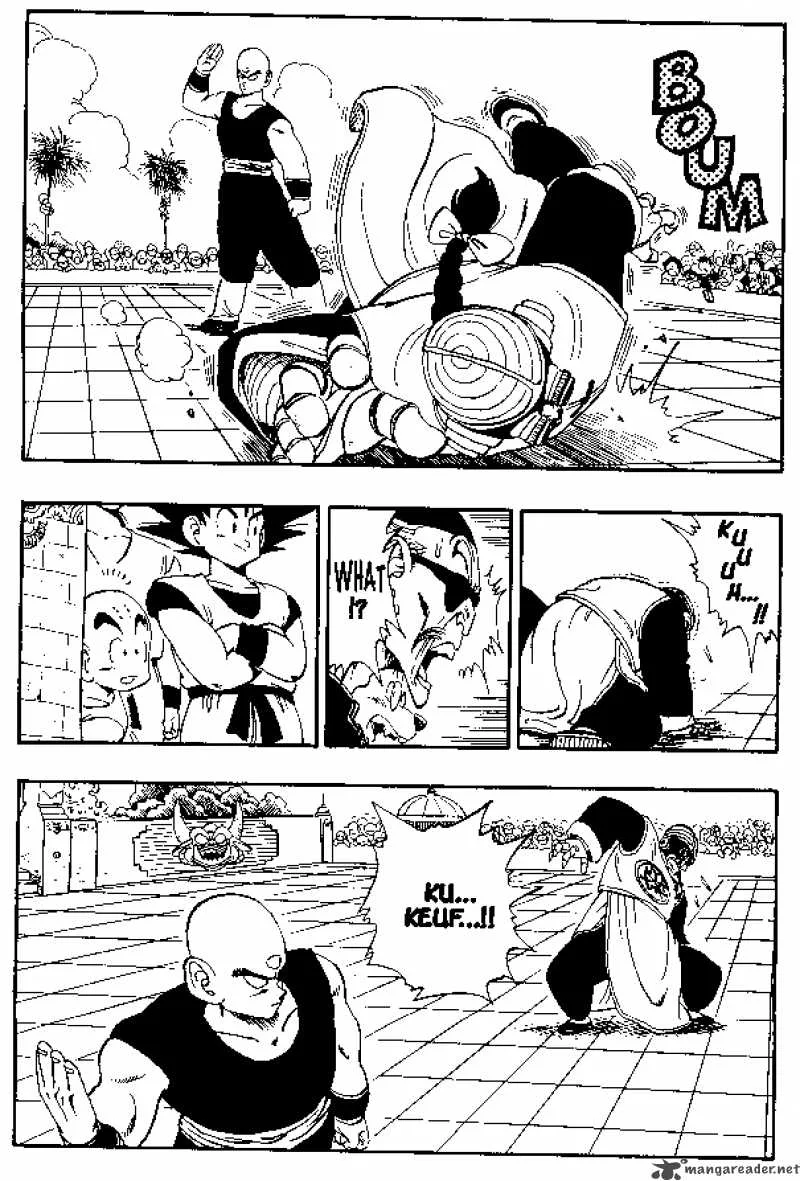 Dragon Ball Chapter 169 page 13