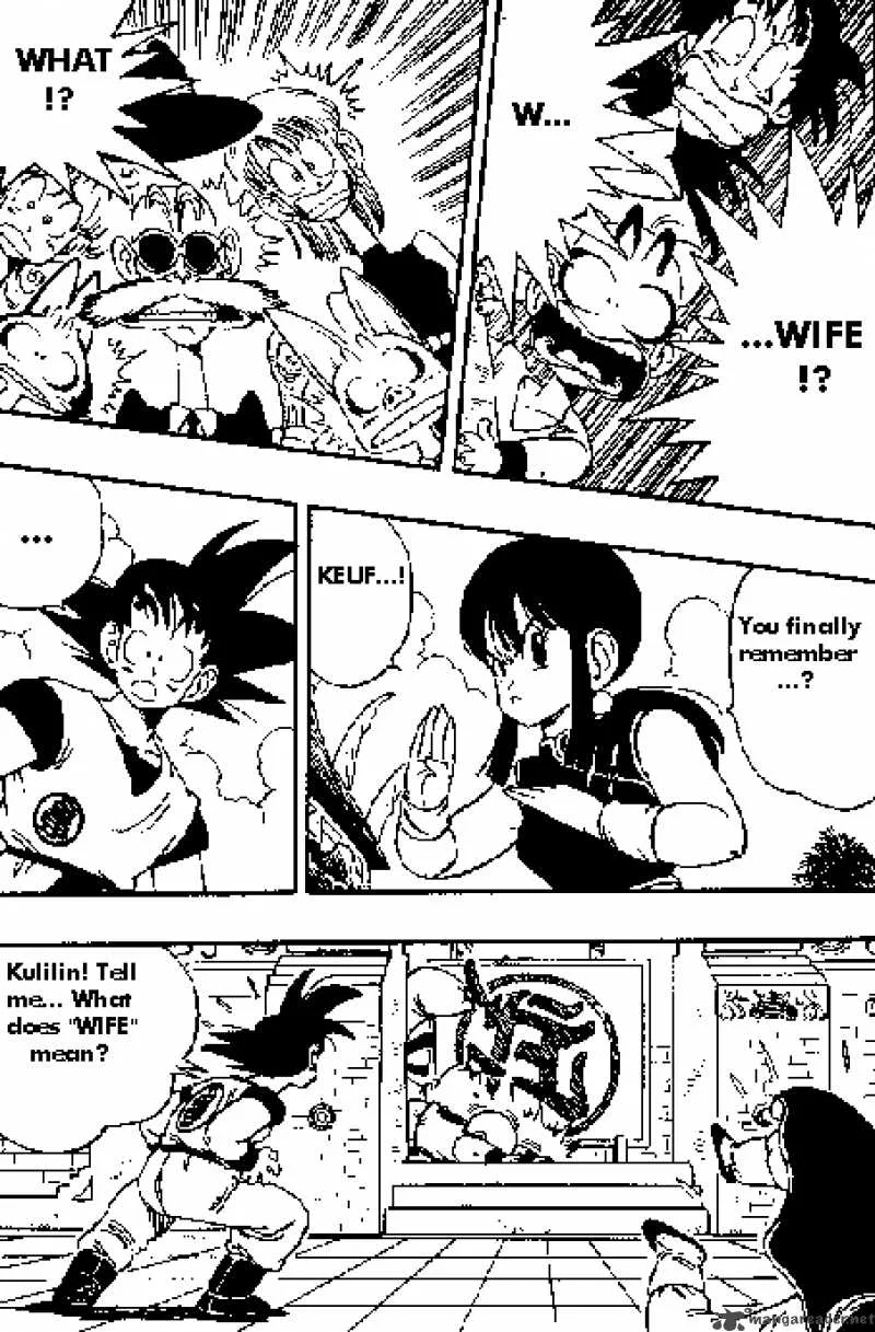 Dragon Ball Chapter 171 page 5