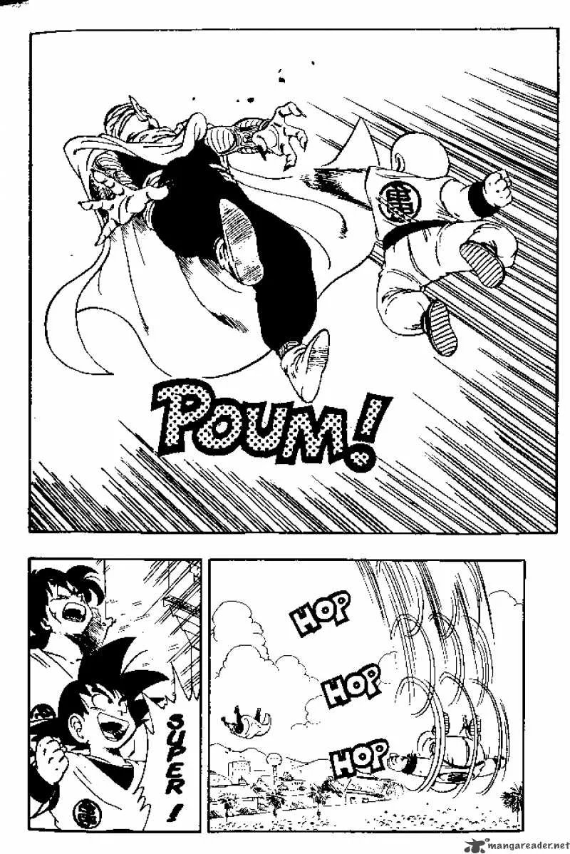Dragon Ball Chapter 172 page 6