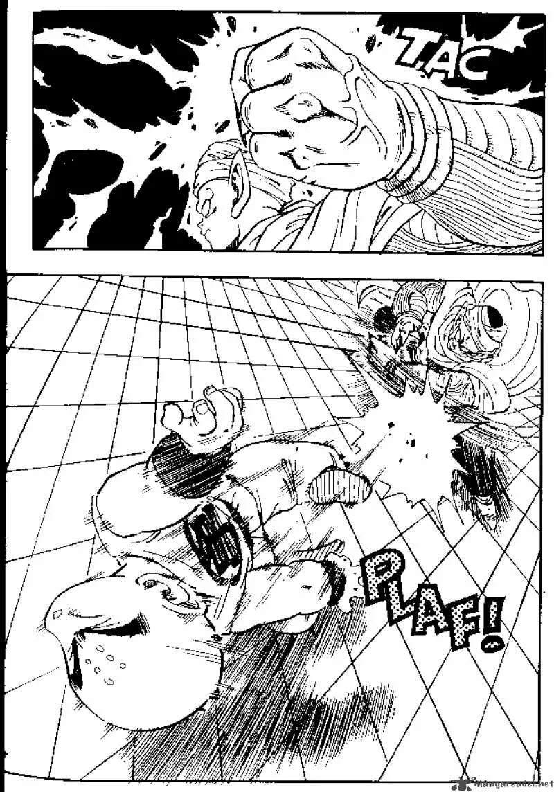 Dragon Ball Chapter 173 page 5