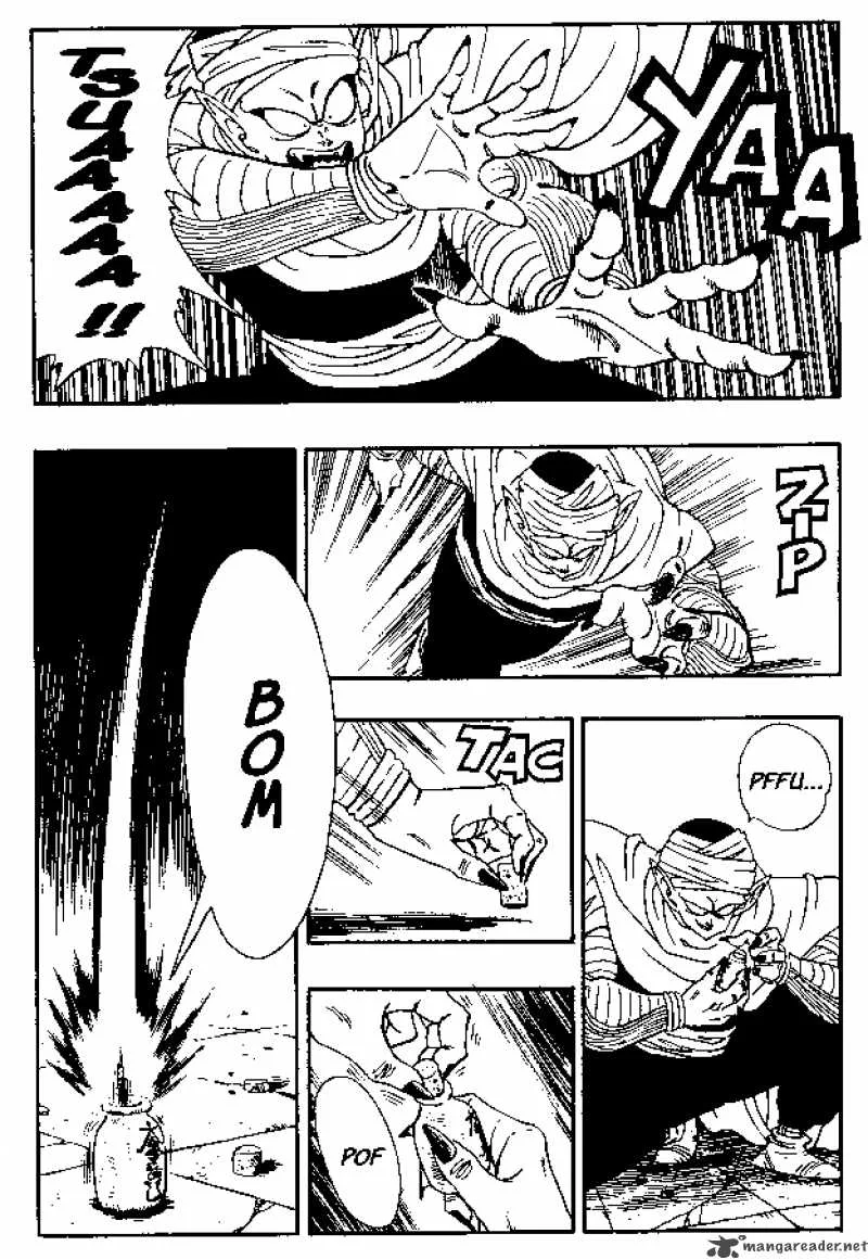 Dragon Ball Chapter 181 page 13