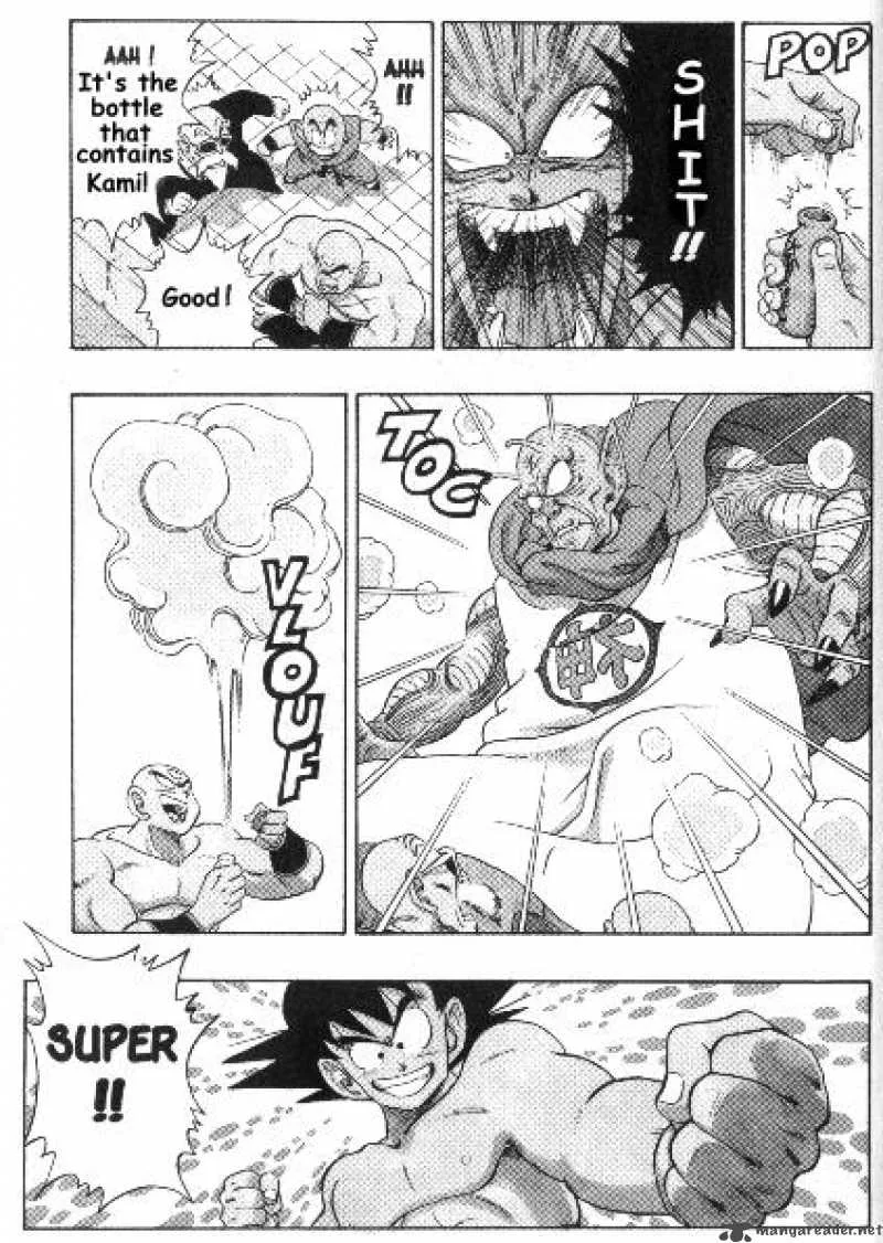 Dragon Ball Chapter 187 page 14