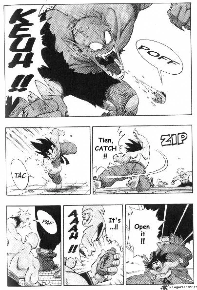 Dragon Ball Chapter 187 page 13