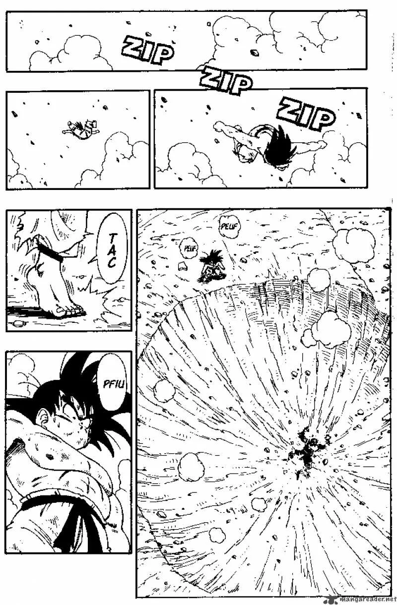 Dragon Ball Chapter 191 page 10