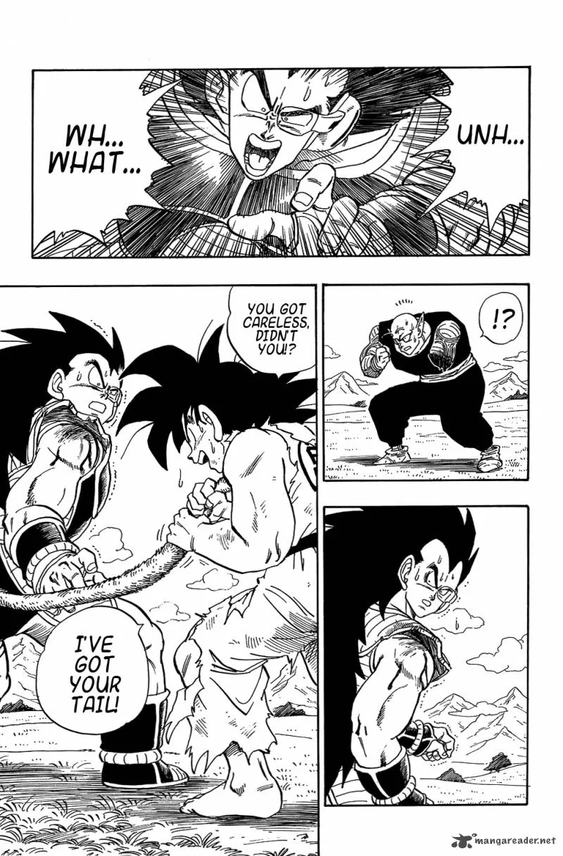 Dragon Ball Chapter 202 page 8