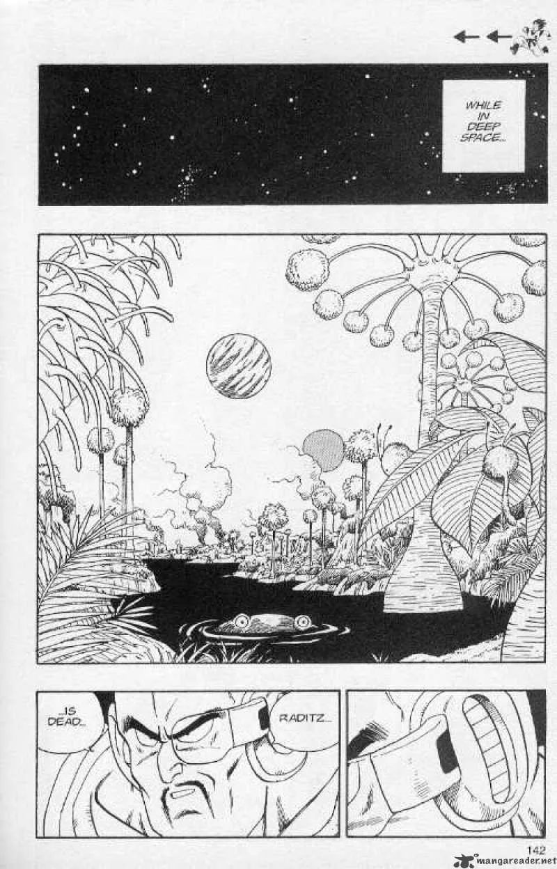 Dragon Ball Chapter 204 page 14