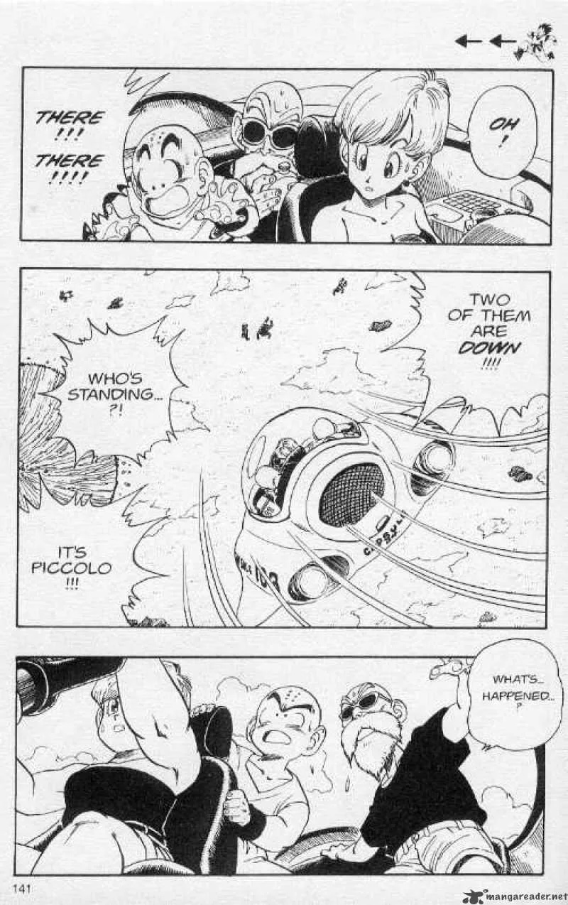 Dragon Ball Chapter 204 page 13
