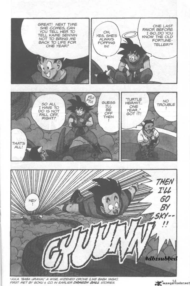 Dragon Ball Chapter 205 page 13