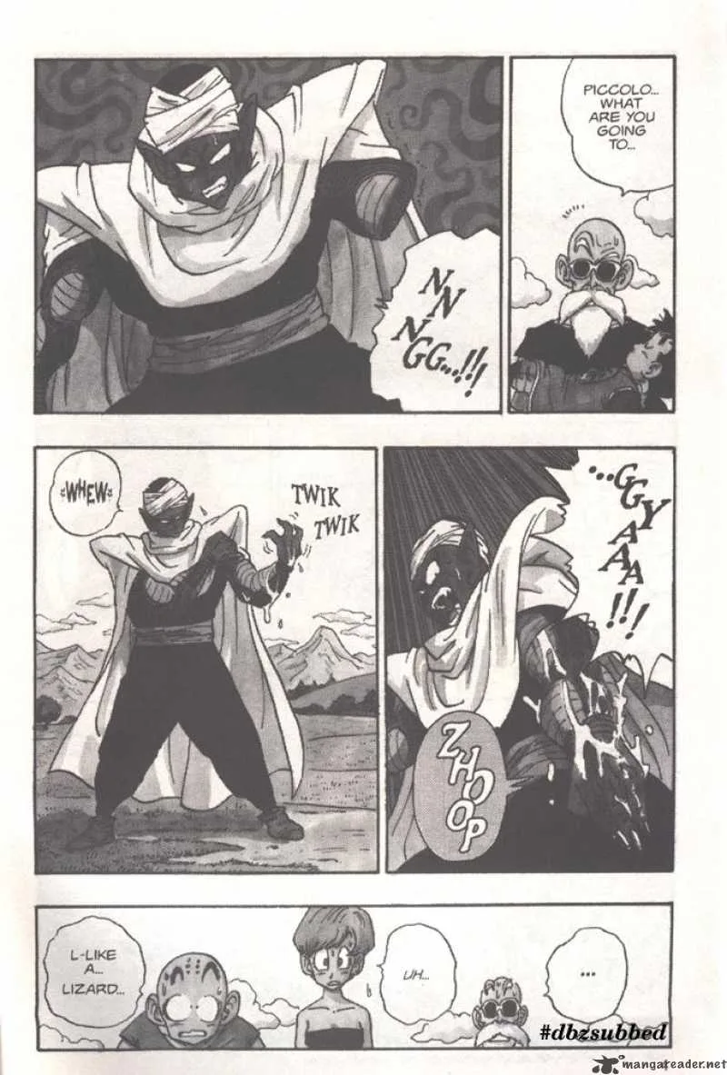 Dragon Ball Chapter 205 page 4