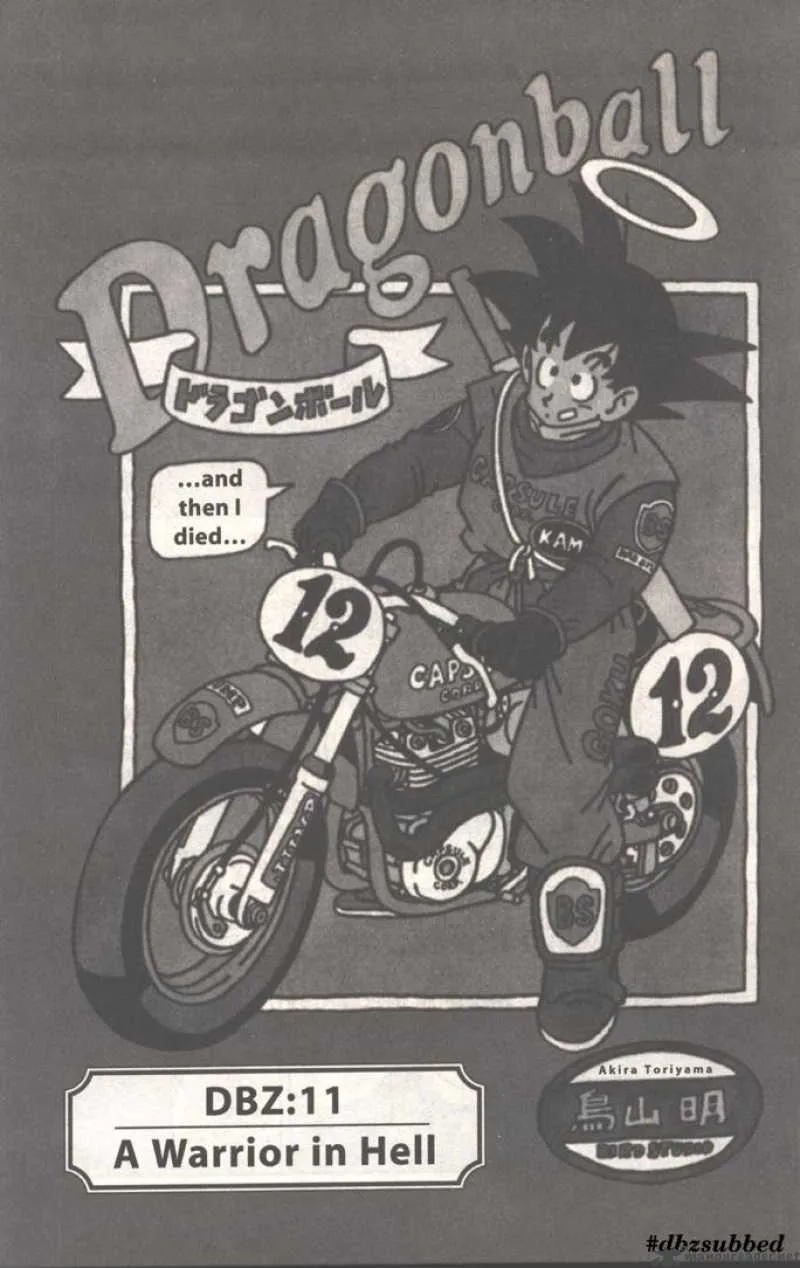 Dragon Ball Chapter 205 page 1