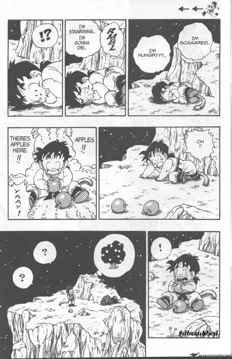 Dragon Ball Chapter 207 page 13