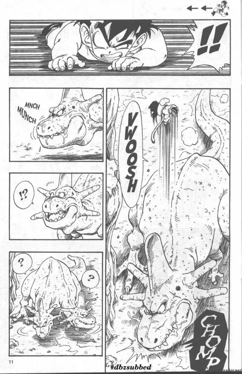 Dragon Ball Chapter 207 page 11