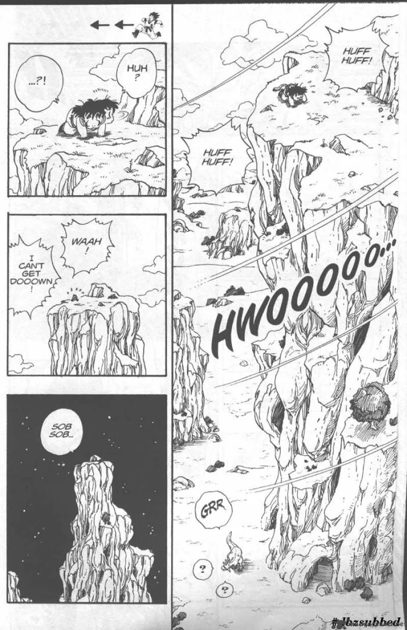 Dragon Ball Chapter 207 page 12