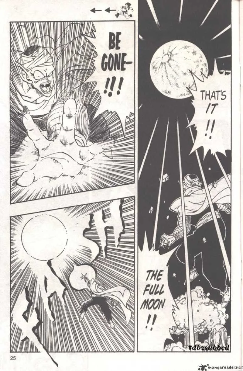 Dragon Ball Chapter 208 page 10