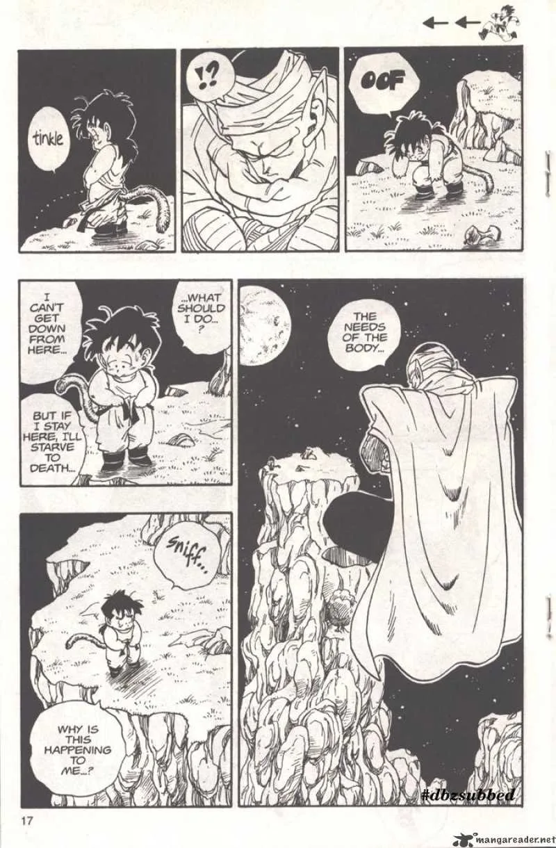 Dragon Ball Chapter 208 page 2