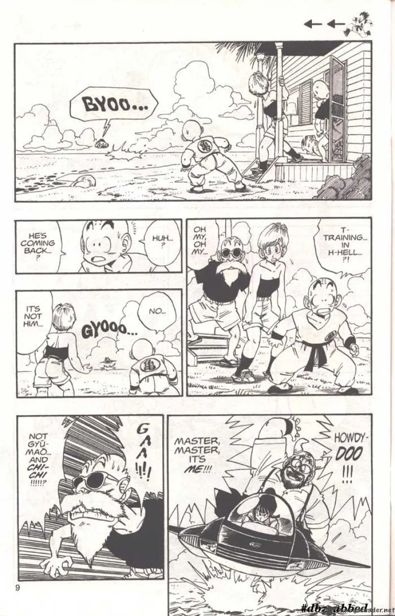 Dragon Ball Chapter 209 page 9
