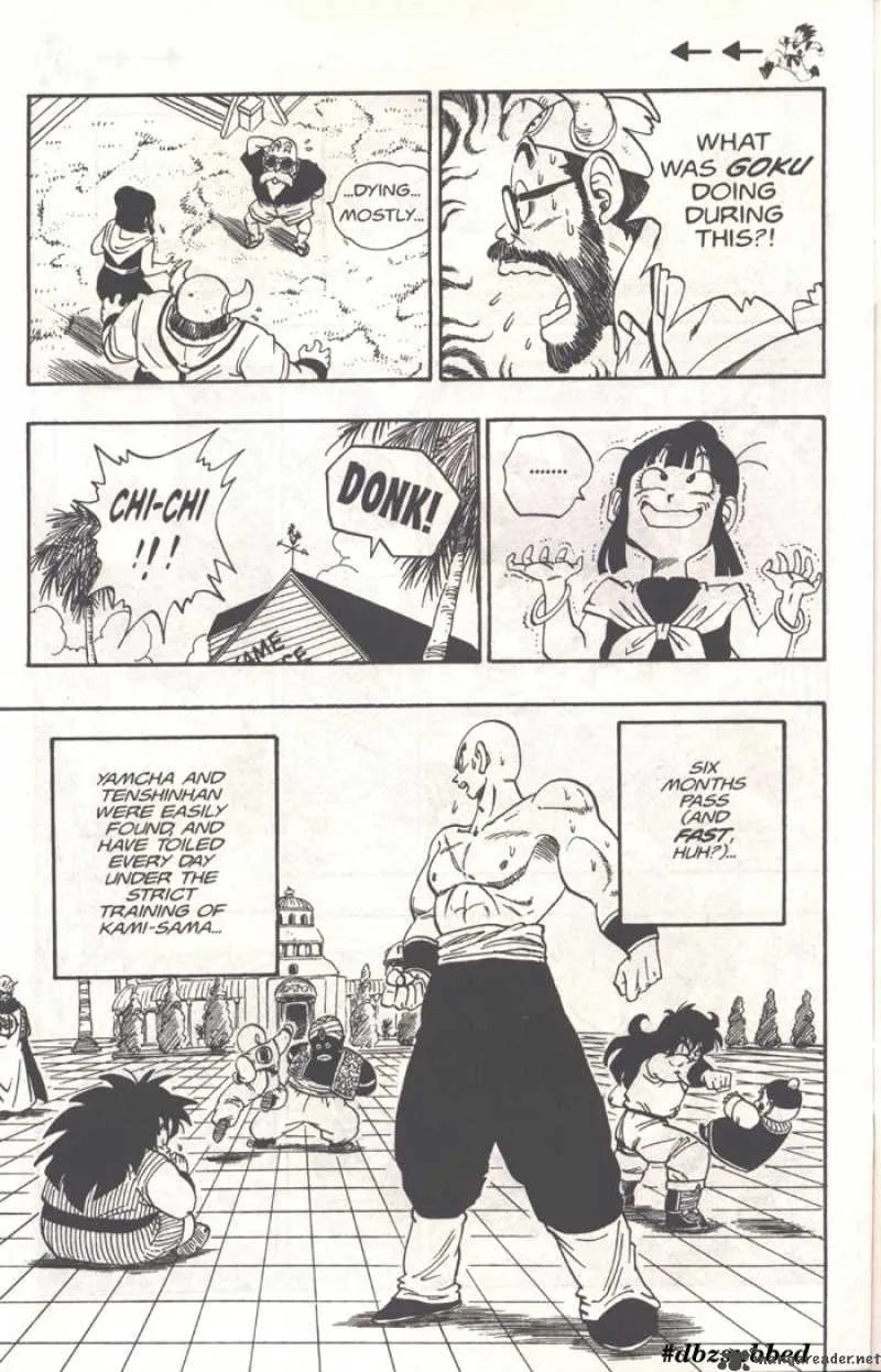 Dragon Ball Chapter 209 page 11