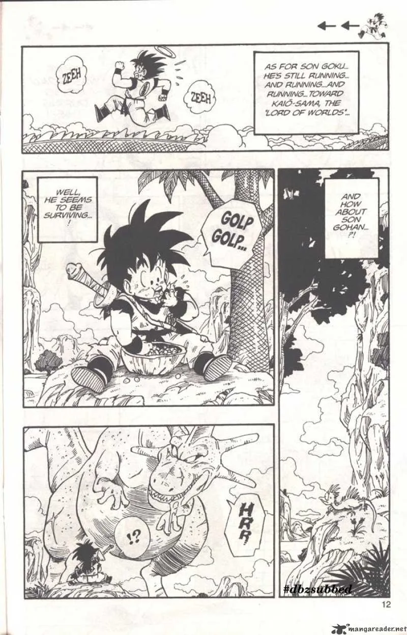 Dragon Ball Chapter 209 page 12