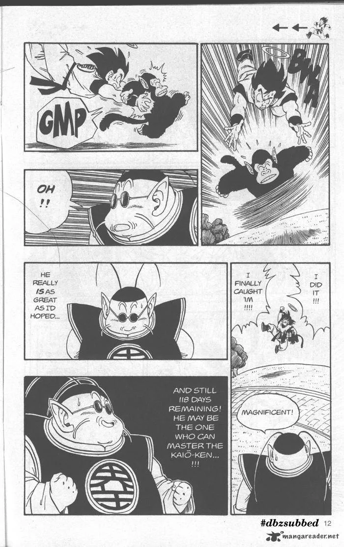 Dragon Ball Chapter 211 page 12