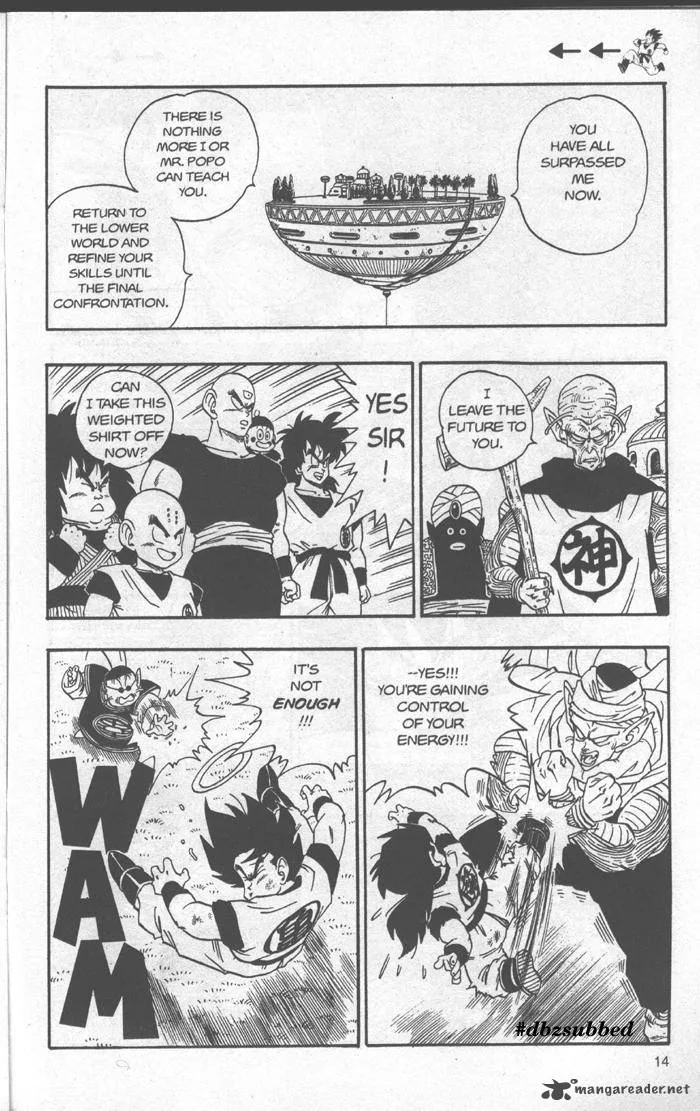 Dragon Ball Chapter 211 page 14