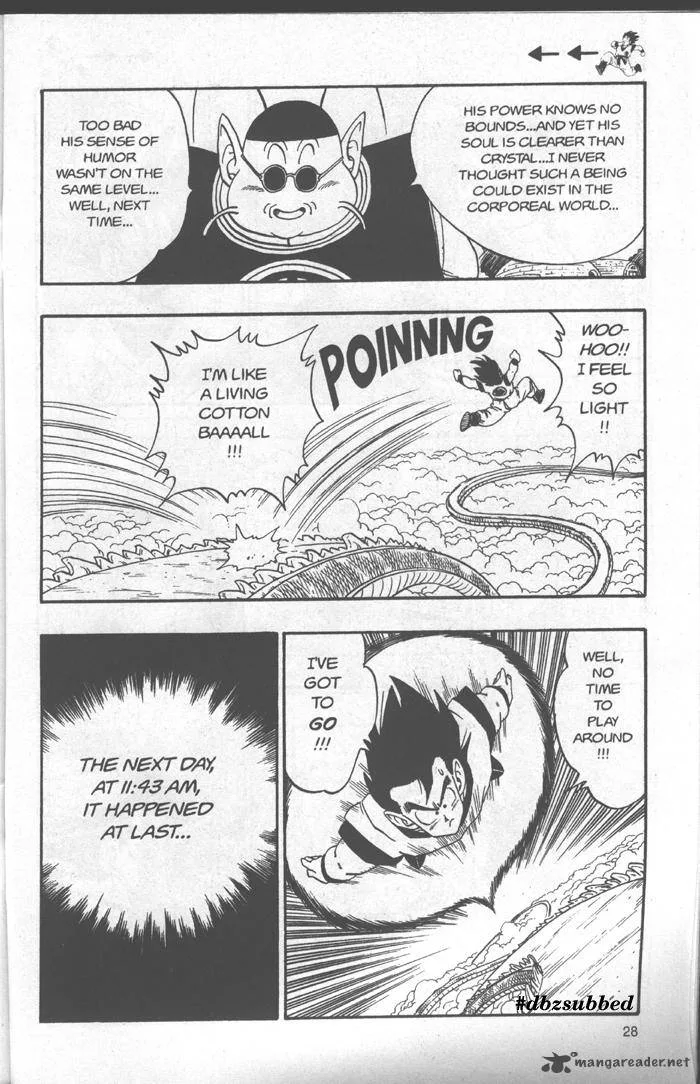 Dragon Ball Chapter 212 page 13